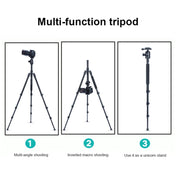 TRIOPO Oubao A-308S Adjustable Portable  Aluminum Alloy Tripod with Ball Head for SLR Camera Eurekaonline