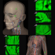 VF620 Infrared Vein Viewer -Desktop HD Adults Children Handy Efficiency Vein Locator Eurekaonline