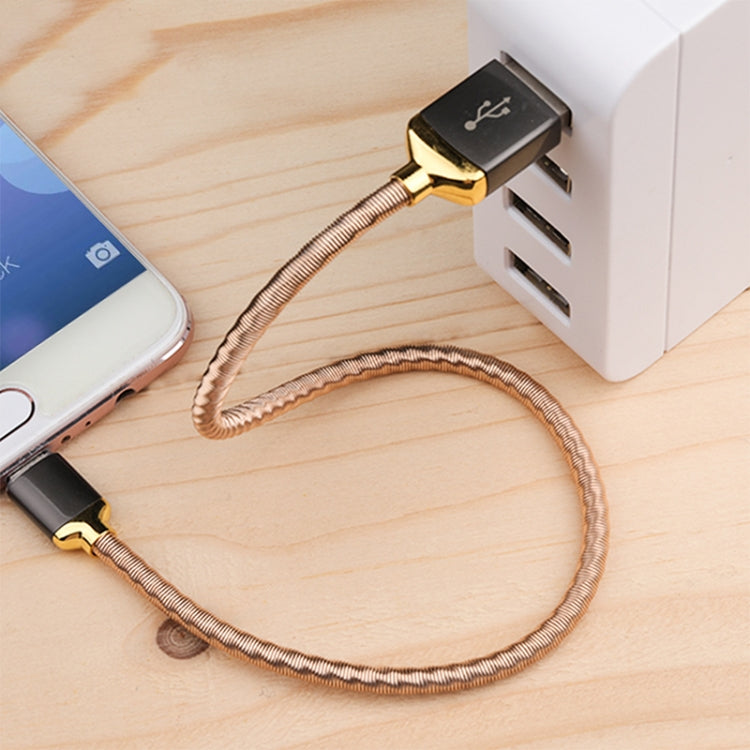 awei CL-26 0.3m 2.4A USB to USB-C / Type-C Metal Fast Charging Cable (Gold) Eurekaonline