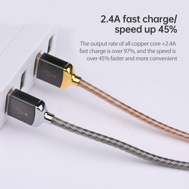 awei CL-26 0.3m 2.4A USB to USB-C / Type-C Metal Fast Charging Cable (Gold) Eurekaonline