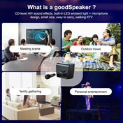WK D19 National K Song King Wireless Bluetooth 5.0 Speaker with KTV Atmosphere Light - Eurekaonline