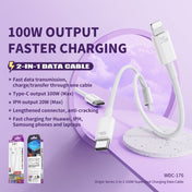 WK WDC-176 100W 2 in 1 USB-C/Type-C to USB-C/Type-C+8 Pin Multifunctional Fast Charging Data Cable,Length: 1.2m - Eurekaonline