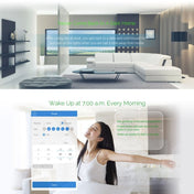 WS-US-02 EWeLink APP & Touch Control 2A 2 Gangs Tempered Glass Panel Smart Wall Switch, AC 90V-250V, US Plug - Eurekaonline