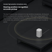 Xiaomi Xiaoai Speaker HD with 360 Degree Omnidirectional Audio & Microphone & Support for Intelligent Interaction(Dark Gray) - Eurekaonline