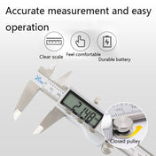 XIFENG Stainless Steel Digital Display Electronic Vernier Caliper, Specification: 0-300mm - Eurekaonline