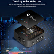 Yanmai GF525 2 in 1 Broadcast 2.4G Wireless Lavalier Microphone Mini Clip-on Mic with LED Display - Eurekaonline