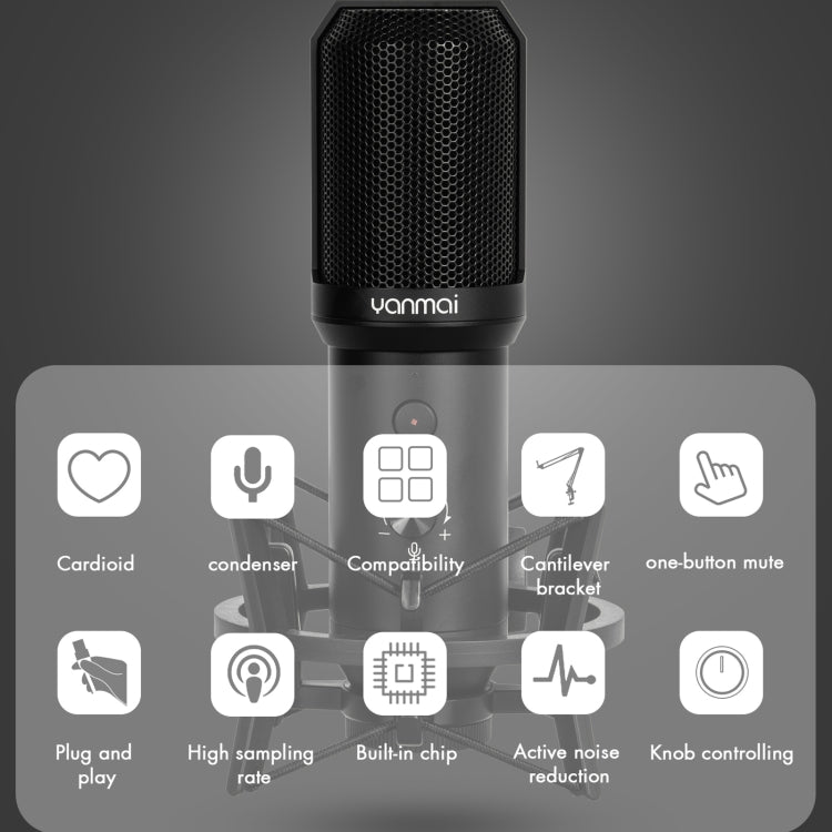 Yanmai Q10B USB Recording Microphone Kit - Eurekaonline