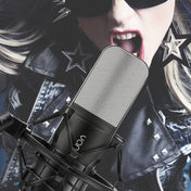 Yanmai Q8 Professional Game Condenser Sound Recording Microphone with Holder, Compatible with PC and Mac for Live Broadcast Show, KTV, etc.(Black) - Eurekaonline