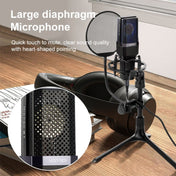 Yanmai X1 4 in 1 Foldable Lifting Professional Desktop Live Broadcast Cardioid Pointing Condenser Recording Microphone Set with Blowout Net & Shockproof Mount & 1.8m USB-C / Type-C Cable - Eurekaonline