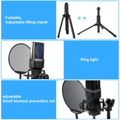 Yanmai X1 4 in 1 Foldable Lifting Professional Desktop Live Broadcast Cardioid Pointing Condenser Recording Microphone Set with Blowout Net & Shockproof Mount & 1.8m USB-C / Type-C Cable - Eurekaonline