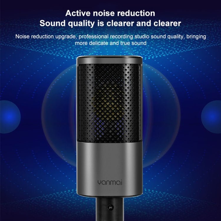 Yanmai X2 Active Noise Reduction Cardioid Pointing Capacitive Recording Microphone Set with Blowout Net & Cantilever Bracket & 1.7m 3.5mm Interface Cable - Eurekaonline