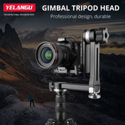 YELANGU A171 YLG0401E-C 360 Degree Rotation Horizontal Cantilever Gimbal Tripod Head for Home DV and SLR Cameras (Black) - Eurekaonline