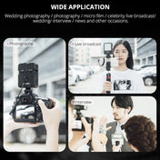 YELANGU LED02 Live Broadcast Micro Film Reporter Interview Recording Microphone Light - Eurekaonline