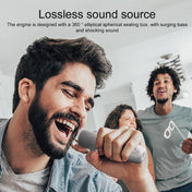 YS-203 Bluetooth Karaoke Speaker Wireless Microphone(Black) - Eurekaonline