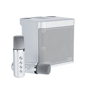 YS-203 Bluetooth Karaoke Speaker Wireless Microphone(Silver) - Eurekaonline