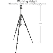 YUNTENG 6109 Camera Overhead Shot Tripod Universal Mobile Phone Live Broadcast Bracket - Eurekaonline